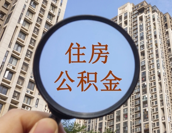 漯河公积金代提（代提公积金可靠吗）